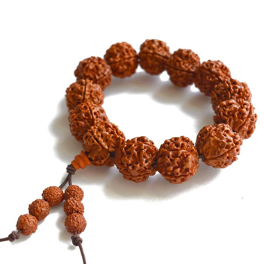 Pancha Mukhi Rudraksha – Welcome to Mahadev Rudrakshas